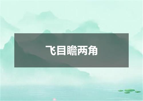 飞目瞻两角