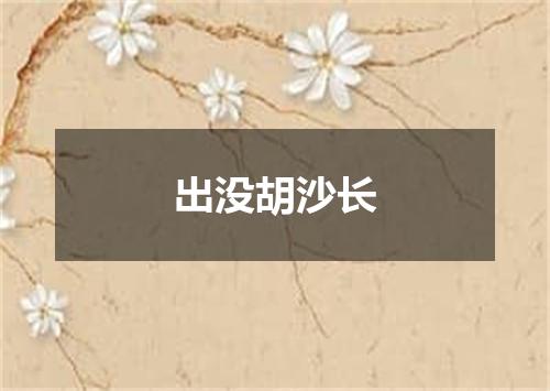 出没胡沙长