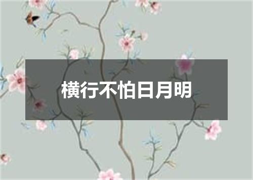 横行不怕日月明