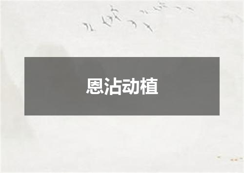 恩沾动植