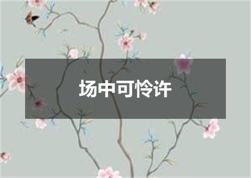 场中可怜许