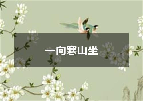 一向寒山坐