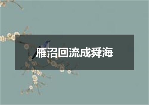 雁沼回流成舜海