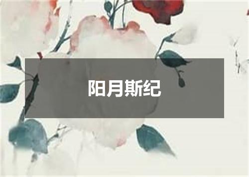 阳月斯纪