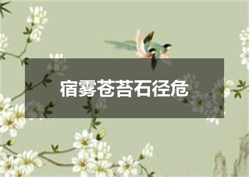 宿雾苍苔石径危