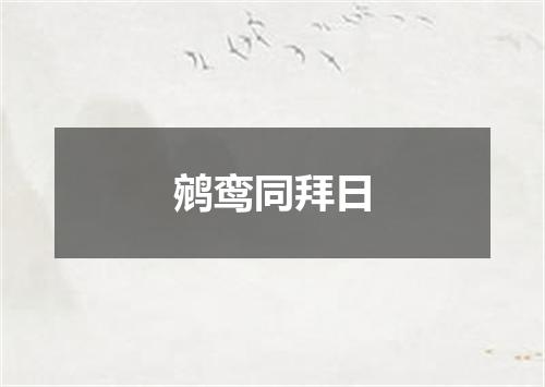 鹓鸾同拜日