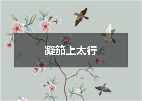凝笳上太行
