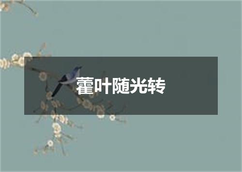 藿叶随光转