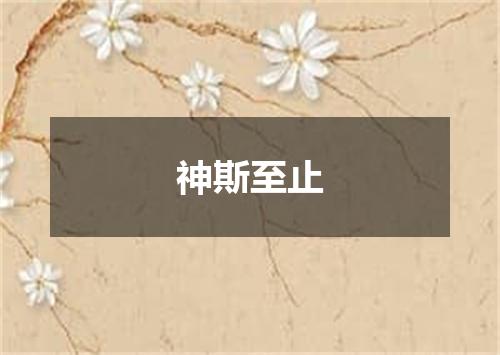 神斯至止