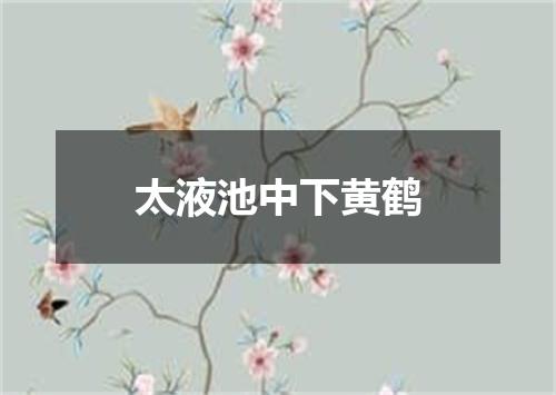 太液池中下黄鹤