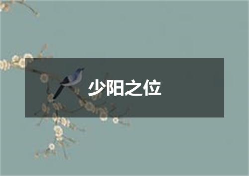 少阳之位
