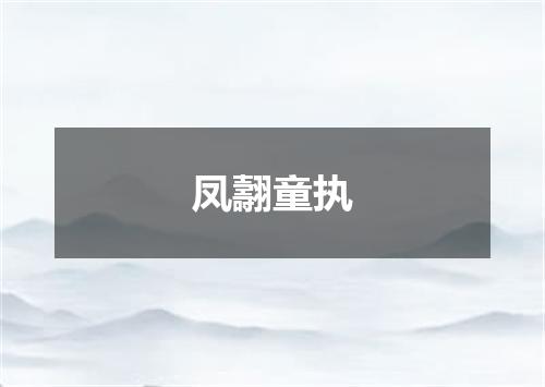 凤翿童执