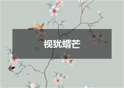 视犹蝟芒