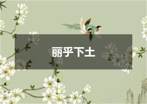 丽乎下土