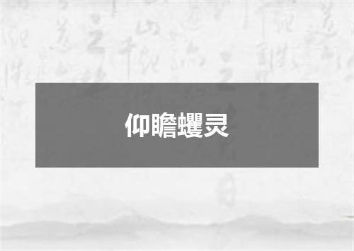 仰瞻蠼灵