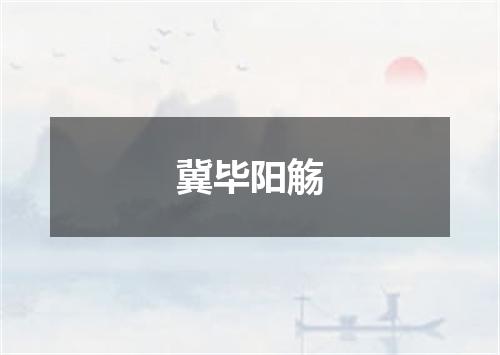 冀毕阳觞