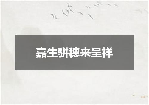 嘉生骈穗来呈祥