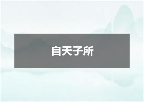 自天子所