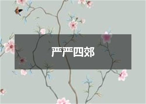 严严四郊
