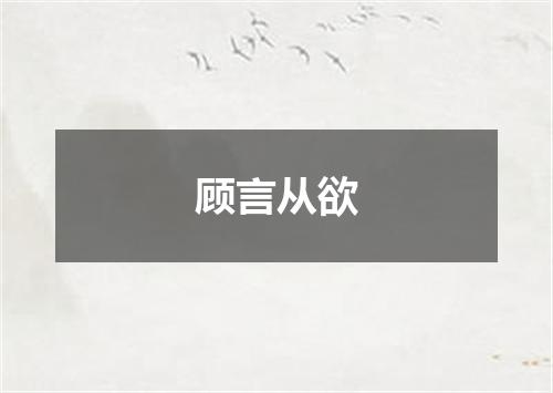 顾言从欲