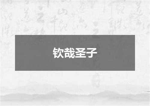 钦哉圣子