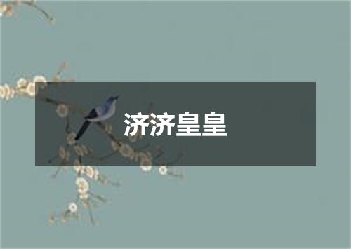 济济皇皇