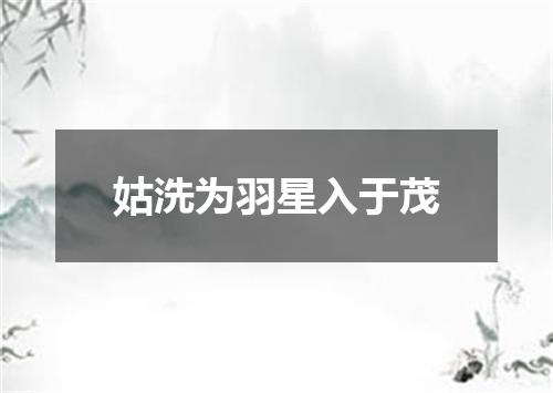 姑洗为羽星入于茂