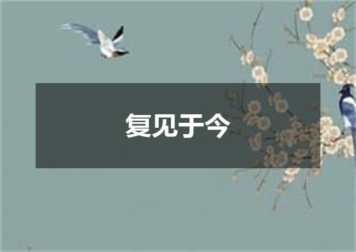 复见于今