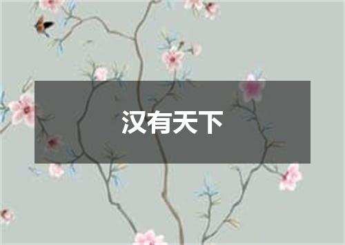 汉有天下