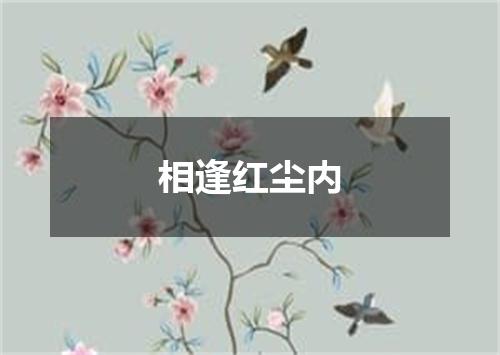 相逢红尘内