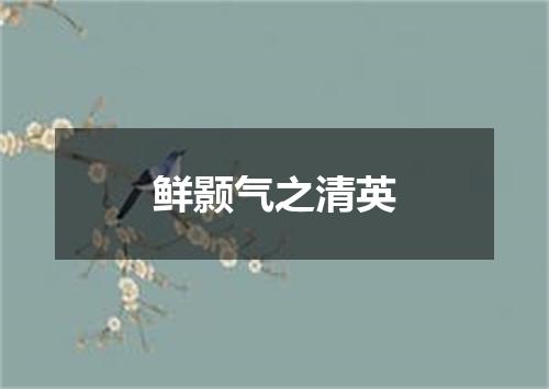 鲜颢气之清英