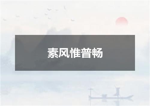 素风惟普畅