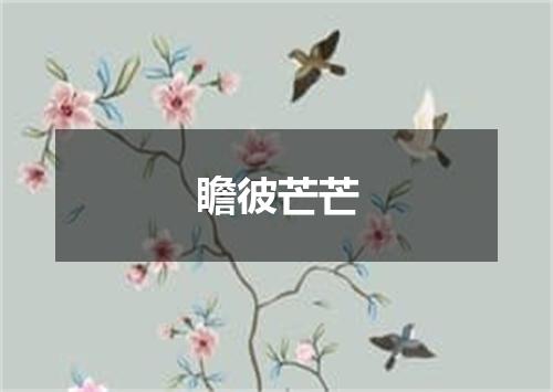 瞻彼芒芒