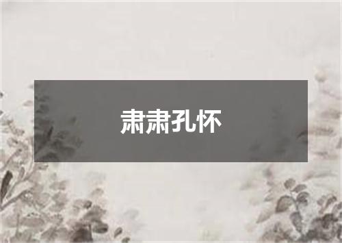 肃肃孔怀