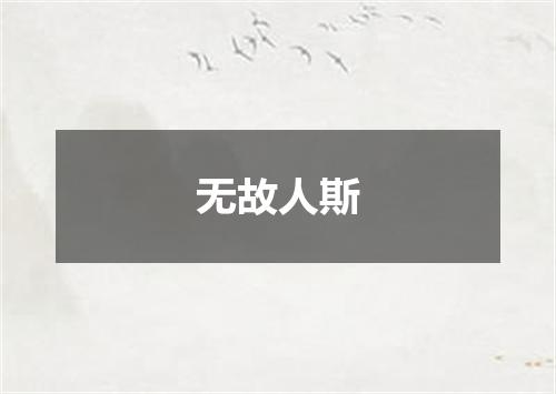 无故人斯