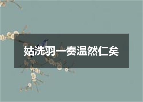 姑洗羽一奏温然仁矣