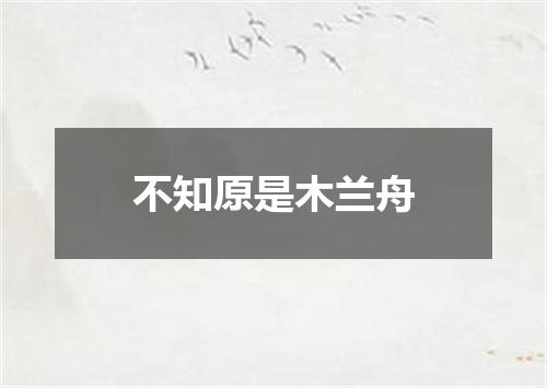 不知原是木兰舟