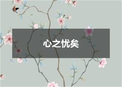 心之忧矣