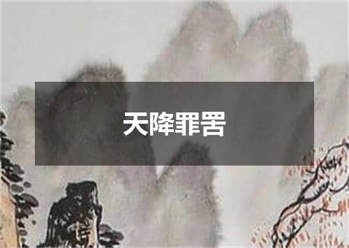 天降罪罟