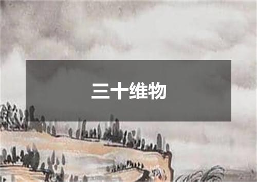 三十维物