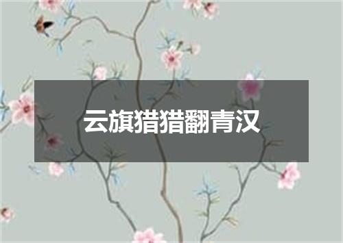 云旗猎猎翻青汉