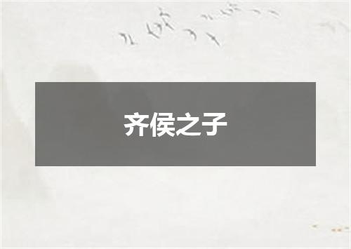 齐侯之子