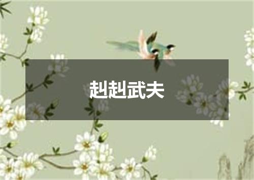 赳赳武夫