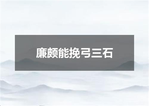 廉颇能挽弓三石