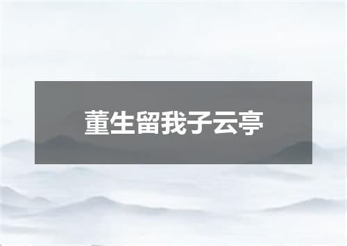董生留我子云亭
