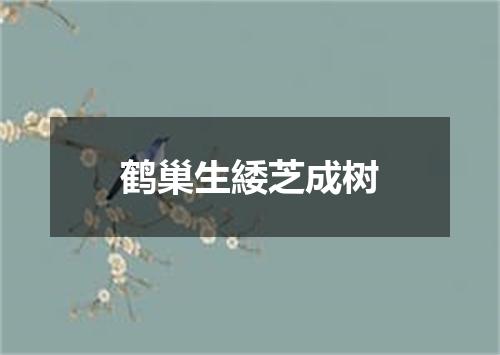 鹤巢生緌芝成树