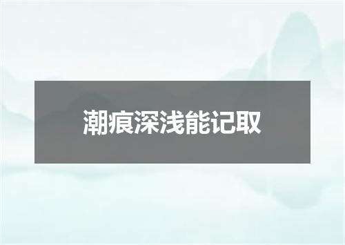 潮痕深浅能记取