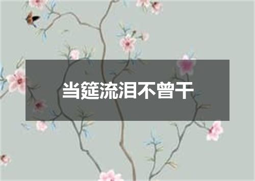 当筵流泪不曾干