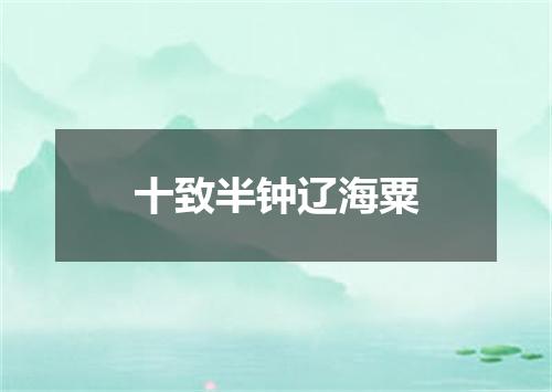 十致半钟辽海粟