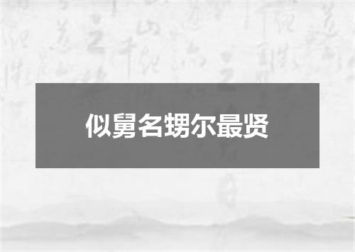 似舅名甥尔最贤